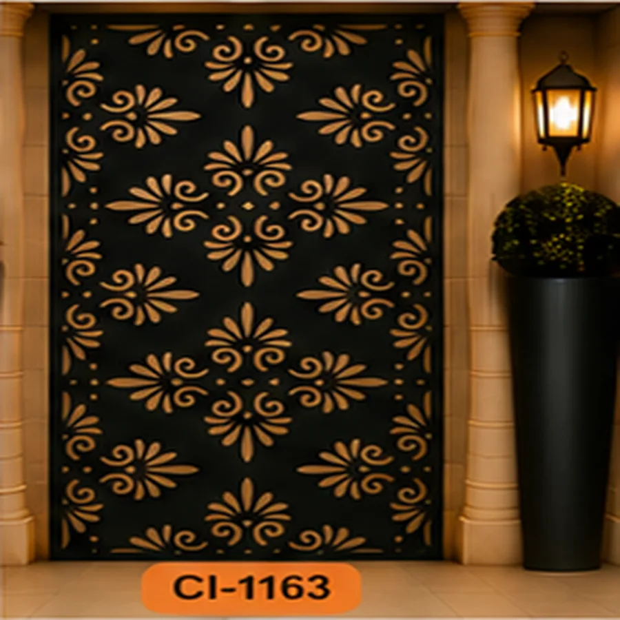 Ci 1163