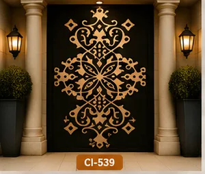 Ci 539
